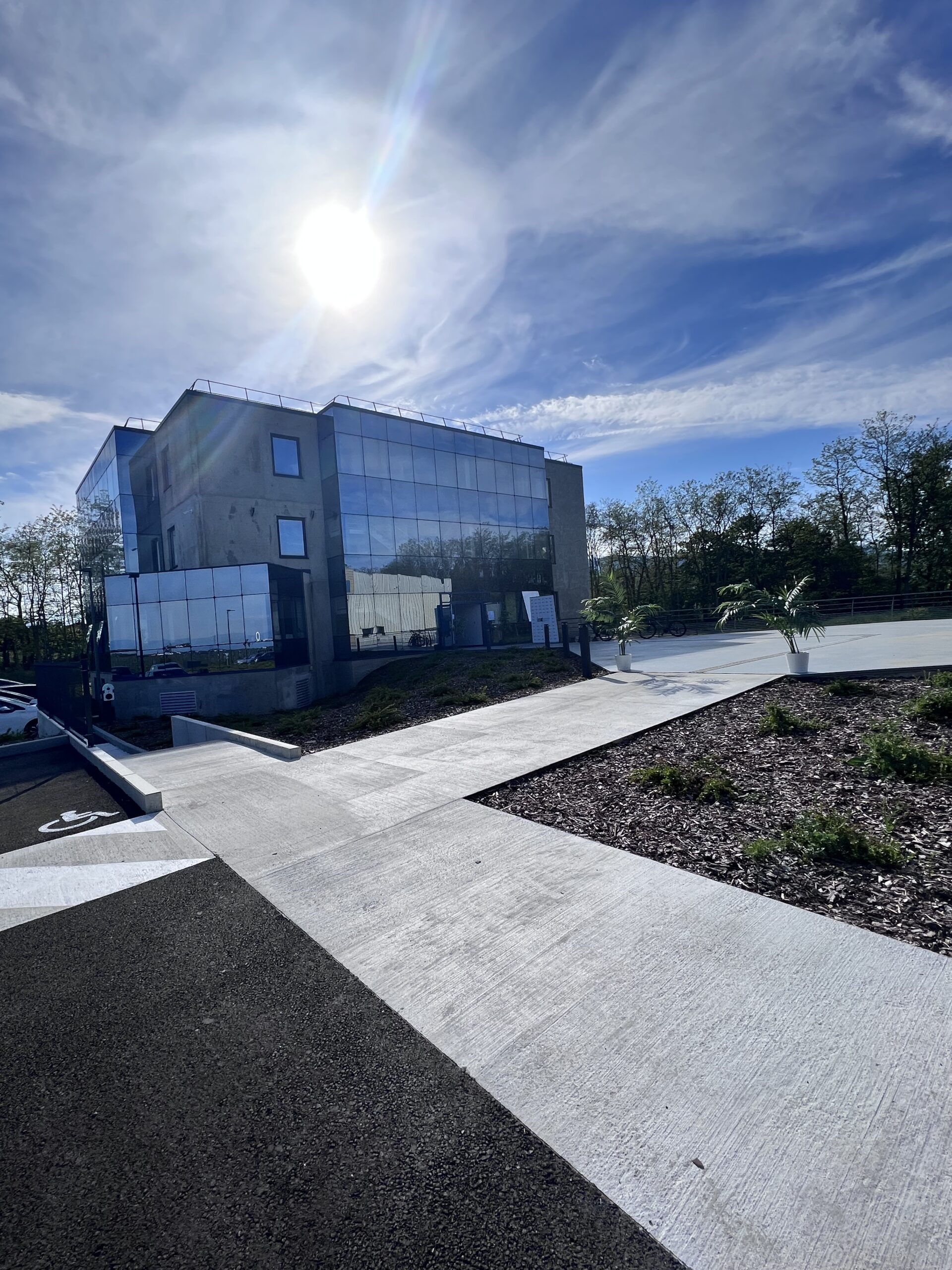 homneo business school colmar, école de commerce en alternance